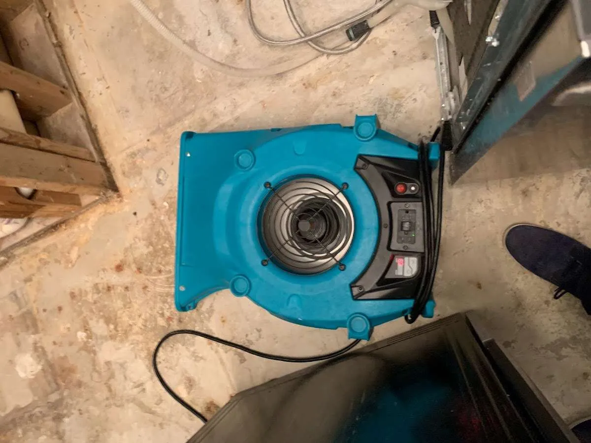Air mover drying equipment for Mold Remediation & Removal in East Hartford
